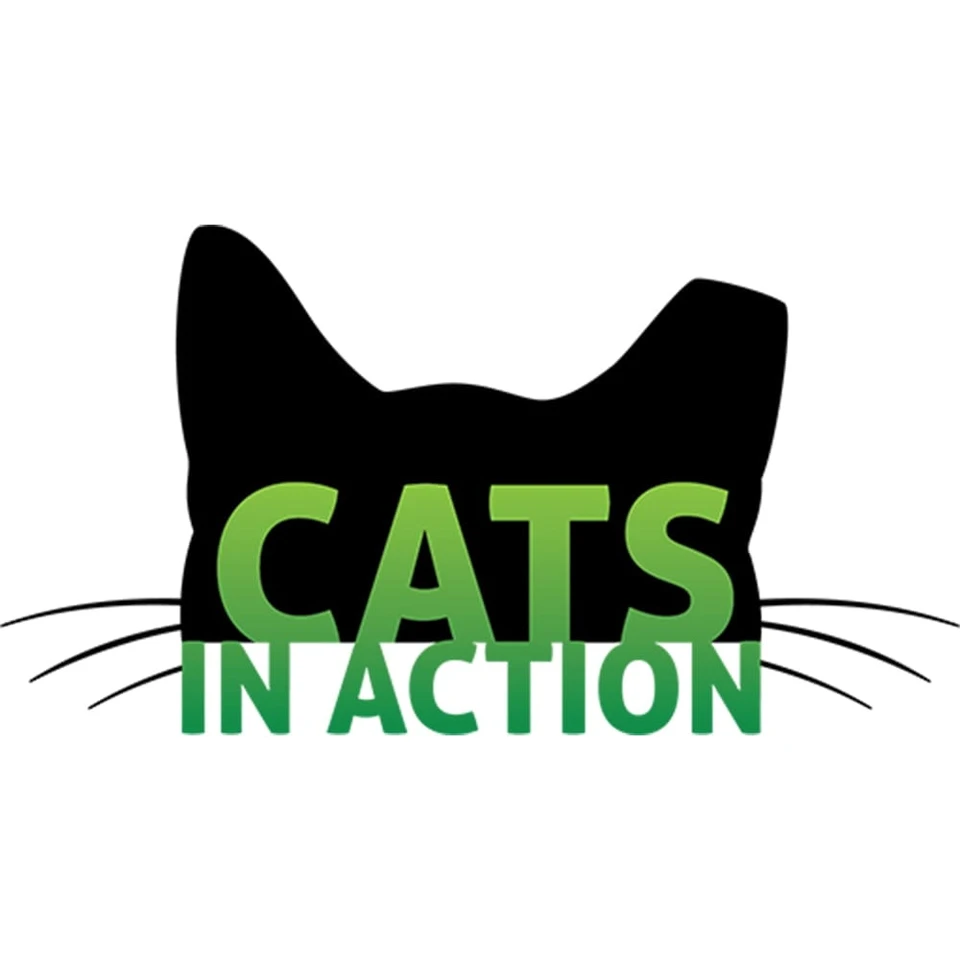 Cats in Action