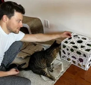 Photo from Mission Meow's post "Cat Amazing!"